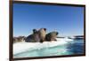 Walrus Herd on Ice, Hudson Bay, Nunavut, Canada-Paul Souders-Framed Photographic Print