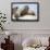 Walrus Herd on Ice, Hudson Bay, Nunavut, Canada-Paul Souders-Framed Photographic Print displayed on a wall