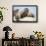 Walrus Herd on Ice, Hudson Bay, Nunavut, Canada-Paul Souders-Framed Photographic Print displayed on a wall