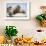 Walrus Herd on Ice, Hudson Bay, Nunavut, Canada-Paul Souders-Framed Photographic Print displayed on a wall