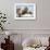 Walrus Herd on Ice, Hudson Bay, Nunavut, Canada-Paul Souders-Framed Photographic Print displayed on a wall