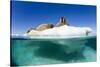 Walrus Herd on Iceberg, Hudson Bay, Nunavut, Canada-Paul Souders-Stretched Canvas