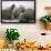 Walrus Herd on Iceberg, Hudson Bay, Nunavut, Canada-Paul Souders-Framed Photographic Print displayed on a wall