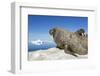 Walrus Herd on Iceberg, Hudson Bay, Nunavut, Canada-Paul Souders-Framed Photographic Print