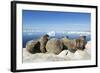 Walrus Herd on Iceberg, Hudson Bay, Nunavut, Canada-Paul Souders-Framed Photographic Print