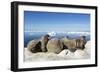 Walrus Herd on Iceberg, Hudson Bay, Nunavut, Canada-Paul Souders-Framed Photographic Print