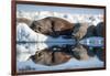 Walrus Herd on Sea Ice, Hudson Bay, Nunavut, Canada-Paul Souders-Framed Photographic Print