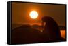 Walrus, Hudson Bay, Nunavut, Canada-Paul Souders-Framed Stretched Canvas