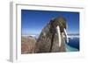 Walrus, Hudson Bay, Nunavut, Canada-Paul Souders-Framed Photographic Print