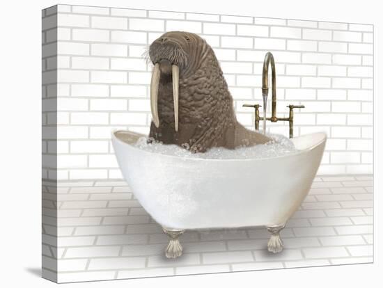 Walrus In Bathtub-Matthew Piotrowicz-Stretched Canvas