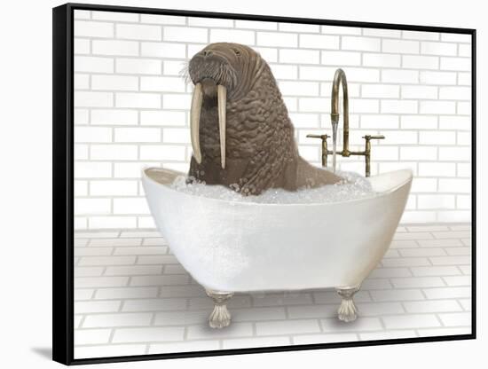 Walrus In Bathtub-Matthew Piotrowicz-Framed Stretched Canvas