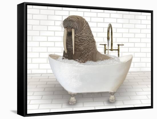 Walrus In Bathtub-Matthew Piotrowicz-Framed Stretched Canvas