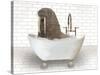 Walrus In Bathtub-Matthew Piotrowicz-Stretched Canvas