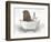 Walrus In Bathtub-Matthew Piotrowicz-Framed Art Print