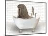 Walrus In Bathtub-Matthew Piotrowicz-Mounted Art Print