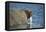 Walrus in Hudson Bay, Nunavut, Canada-Paul Souders-Framed Stretched Canvas