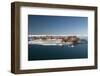 Walrus (Odobenus Rosmarus) Hauled Out-Louise Murray-Framed Photographic Print