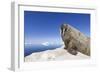 Walrus on Iceberg, Hudson Bay, Nunavut, Canada-Paul Souders-Framed Photographic Print