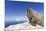 Walrus on Iceberg, Hudson Bay, Nunavut, Canada-Paul Souders-Mounted Photographic Print