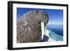 Walrus on Iceberg, Hudson Bay, Nunavut, Canada-Paul Souders-Framed Photographic Print