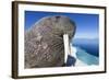 Walrus on Iceberg, Hudson Bay, Nunavut, Canada-Paul Souders-Framed Photographic Print