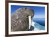 Walrus on Iceberg, Hudson Bay, Nunavut, Canada-Paul Souders-Framed Photographic Print