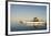 Walrus on Iceberg Near Kapp Lee in Midnight Sun-Paul Souders-Framed Photographic Print