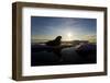 Walrus on Iceberg Near Kapp Lee in Midnight Sun-Paul Souders-Framed Photographic Print