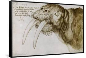 Walrus, Pen and Ink on Paper, 1521-Albrecht Dürer-Framed Stretched Canvas