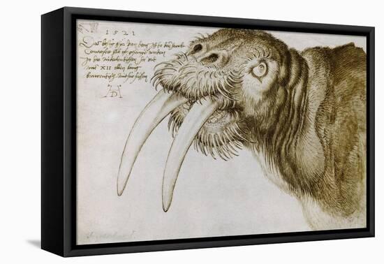 Walrus, Pen and Ink on Paper, 1521-Albrecht Dürer-Framed Stretched Canvas