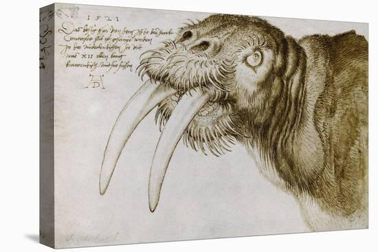 Walrus, Pen and Ink on Paper, 1521-Albrecht Dürer-Stretched Canvas