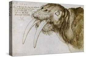 Walrus, Pen and Ink on Paper, 1521-Albrecht Dürer-Stretched Canvas