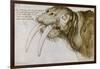 Walrus, Pen and Ink on Paper, 1521-Albrecht Dürer-Framed Giclee Print