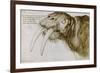 Walrus, Pen and Ink on Paper, 1521-Albrecht Dürer-Framed Giclee Print