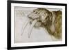 Walrus, Pen and Ink on Paper, 1521-Albrecht Dürer-Framed Giclee Print