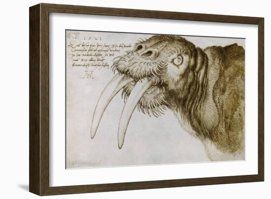 Walrus, Pen and Ink on Paper, 1521-Albrecht Dürer-Framed Giclee Print