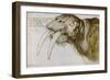 Walrus, Pen and Ink on Paper, 1521-Albrecht Dürer-Framed Giclee Print