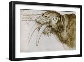 Walrus, Pen and Ink on Paper, 1521-Albrecht Dürer-Framed Giclee Print