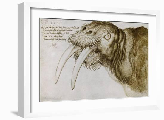 Walrus, Pen and Ink on Paper, 1521-Albrecht Dürer-Framed Giclee Print