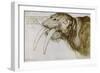 Walrus, Pen and Ink on Paper, 1521-Albrecht Dürer-Framed Giclee Print