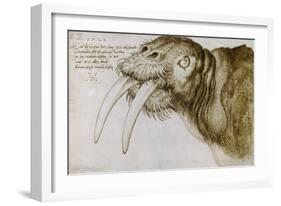 Walrus, Pen and Ink on Paper, 1521-Albrecht Dürer-Framed Giclee Print