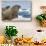 Walrus Resting on Ice in Hudson Bay, Nunavut, Canada-Paul Souders-Stretched Canvas displayed on a wall