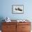 Walrus Resting on Ice in Hudson Bay, Nunavut, Canada-Paul Souders-Framed Photographic Print displayed on a wall