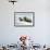 Walrus Resting on Ice in Hudson Bay, Nunavut, Canada-Paul Souders-Framed Photographic Print displayed on a wall