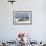 Walrus Resting on Ice in Hudson Bay, Nunavut, Canada-Paul Souders-Framed Photographic Print displayed on a wall