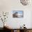 Walrus Resting on Ice in Hudson Bay, Nunavut, Canada-Paul Souders-Mounted Photographic Print displayed on a wall