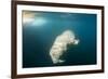 Walrus, Svalbard, Norway-Paul Souders-Framed Photographic Print