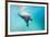 Walrus, Svalbard, Norway-Paul Souders-Framed Photographic Print