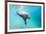 Walrus, Svalbard, Norway-Paul Souders-Framed Photographic Print