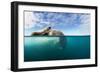 Walrus, Svalbard, Norway-Paul Souders-Framed Photographic Print